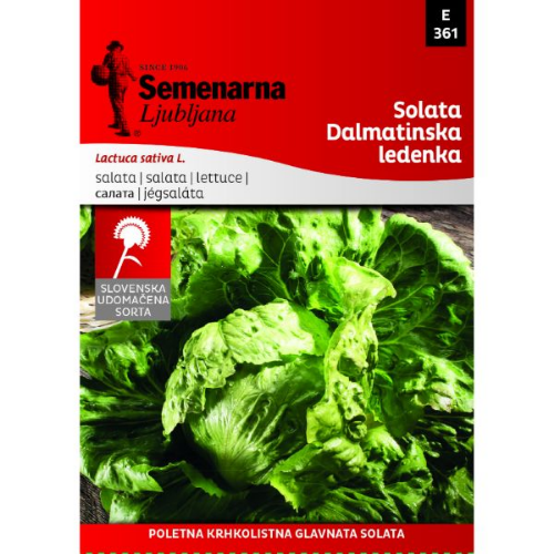 Picture of Seme salata dalmatinska ledenka Semenarna