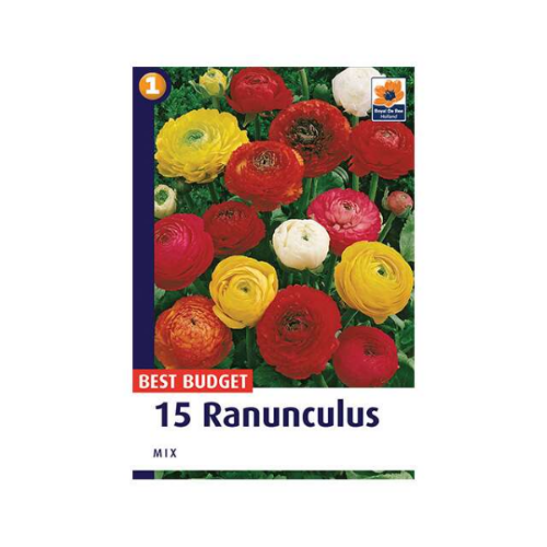 Picture of Ranunculus mix 15/1