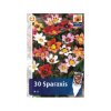 Picture of Sparaxis mix 30/1