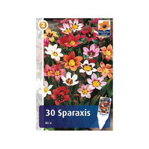 Picture of Sparaxis mix 30/1