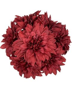 Lukovica Georgina, dalija - Dahlia Dec. Red Rock 1/1	