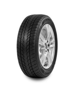 Davanti WintouraSUV 225/65 R17 106H zimska auto guma