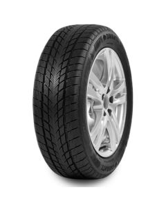 Davanti Wintoura 155/65 R14 75T zimska auto guma