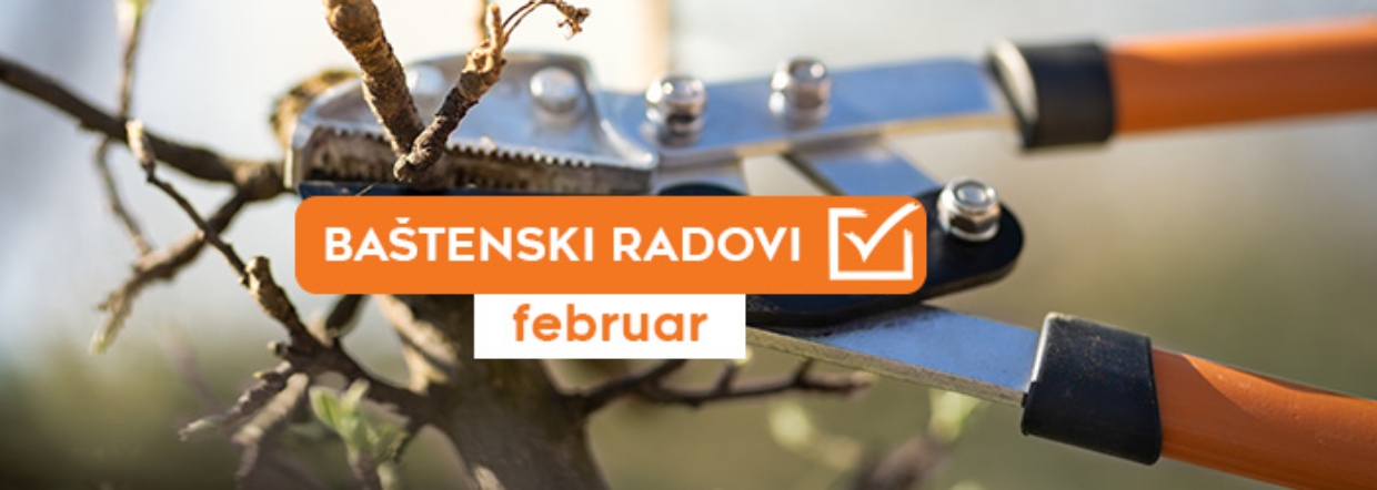 Baštenski radovi - februar