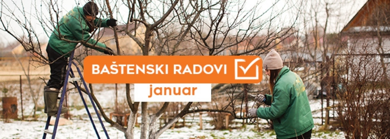 Baštenski radovi - januar